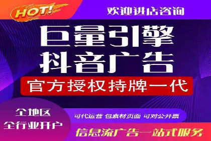 百度竞价代理的运营策略与成功案例分析